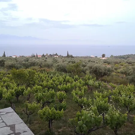 Apartman The Iconpainter Kalamaki *